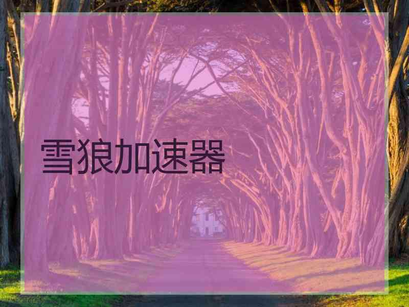 雪狼加速器