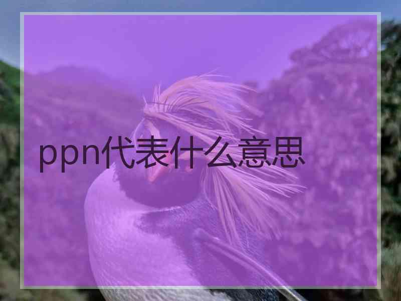 ppn代表什么意思
