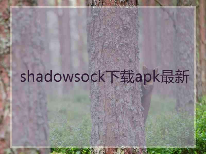 shadowsock下载apk最新