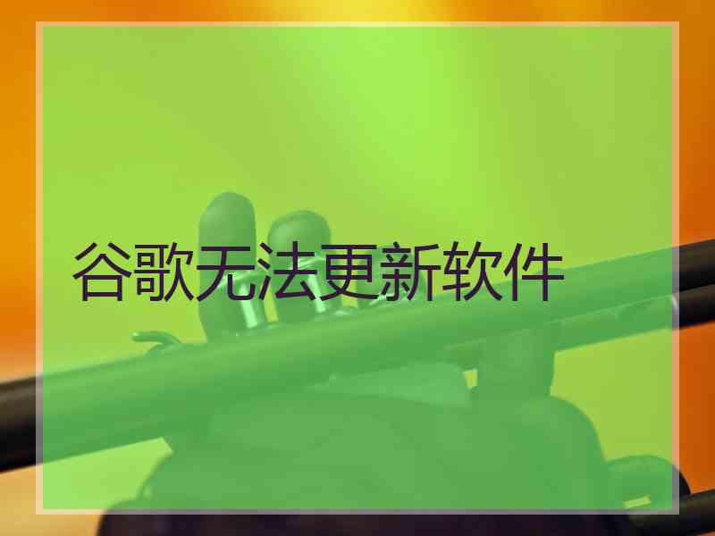 谷歌无法更新软件
