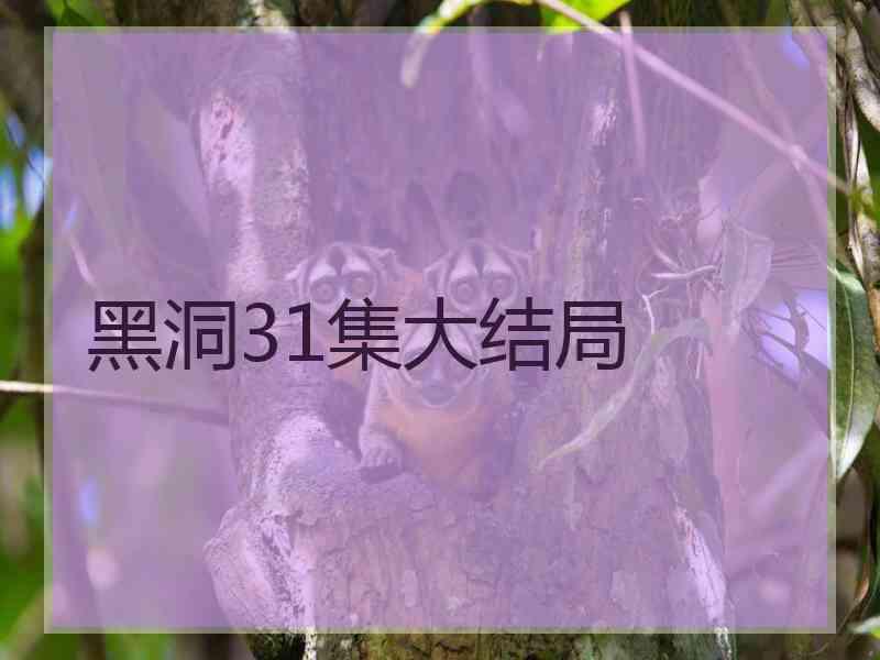 黑洞31集大结局