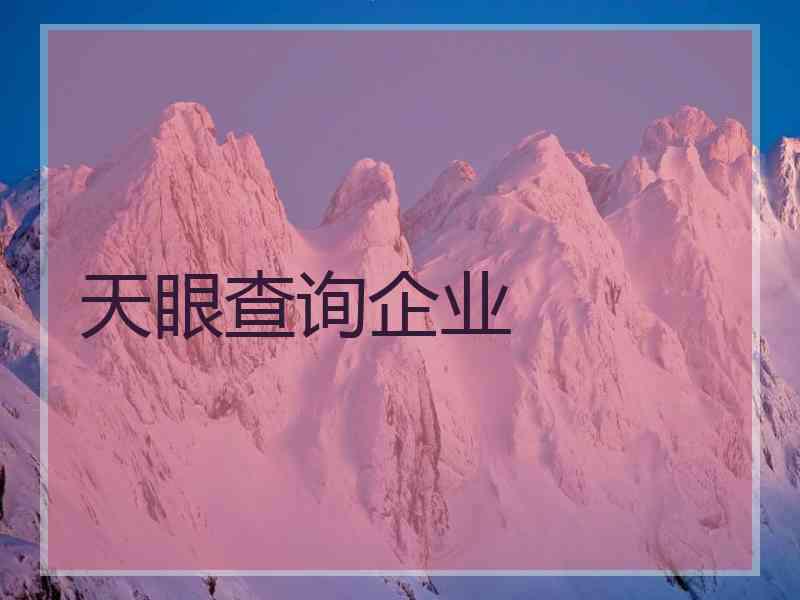 天眼查询企业