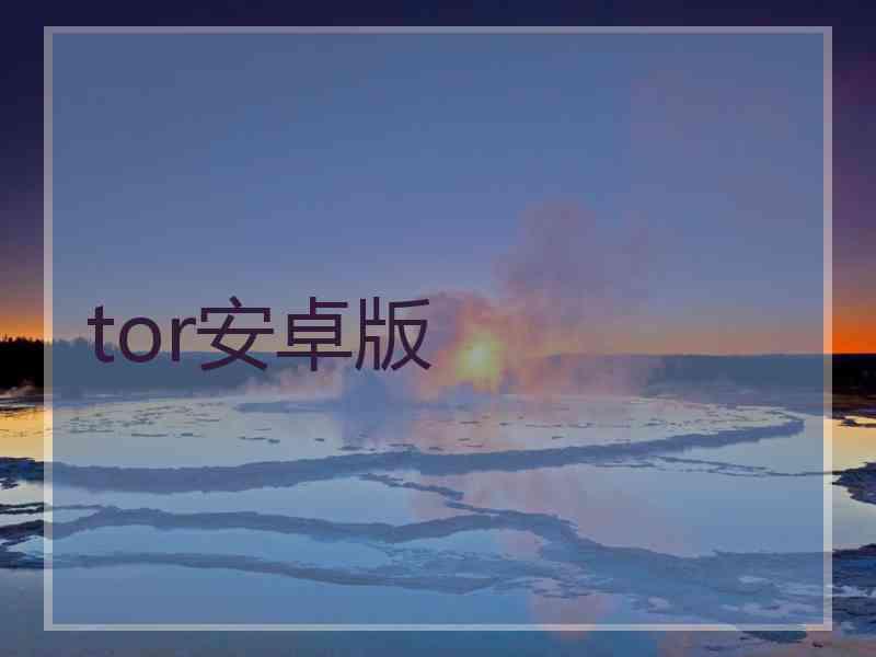 tor安卓版