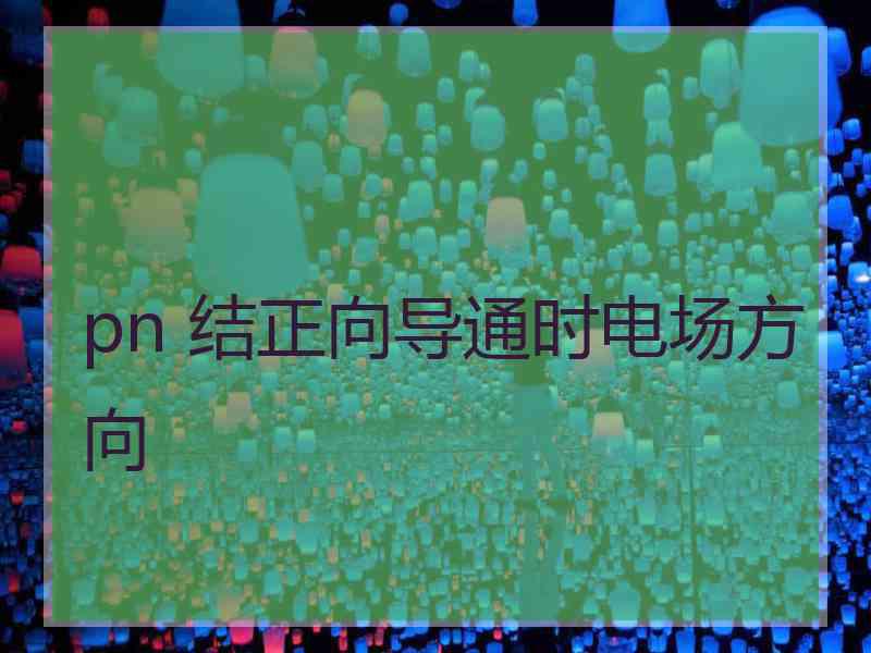 pn 结正向导通时电场方向