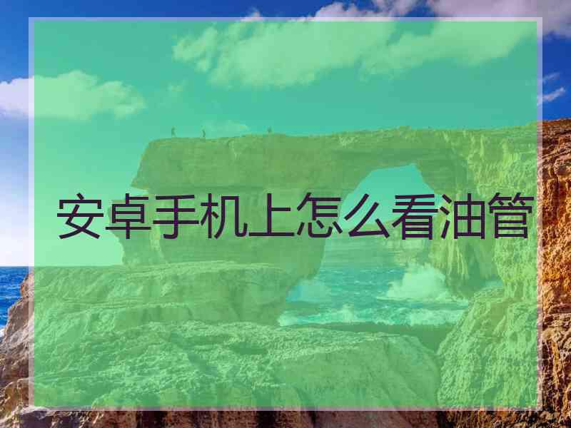 安卓手机上怎么看油管