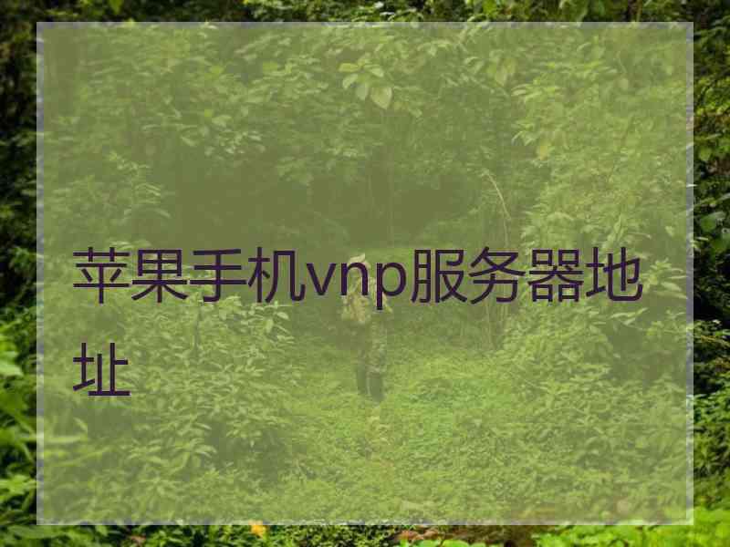 苹果手机vnp服务器地址