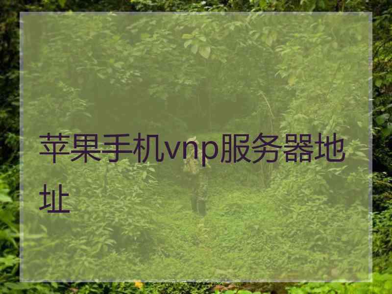 苹果手机vnp服务器地址