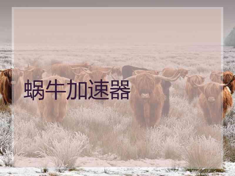 蜗牛加速器