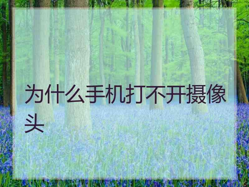 为什么手机打不开摄像头
