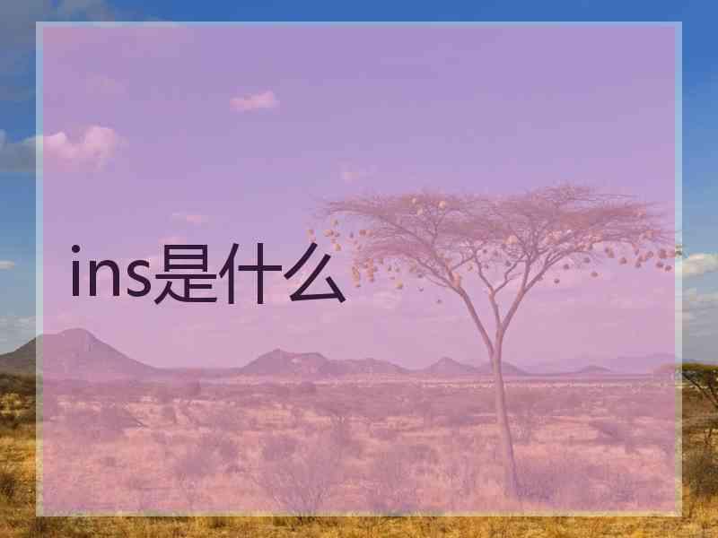 ins是什么