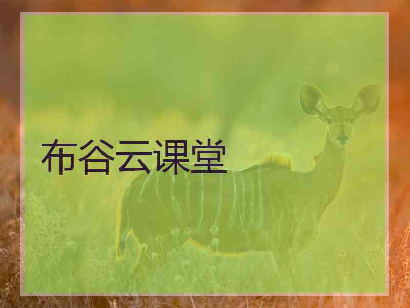 布谷云课堂