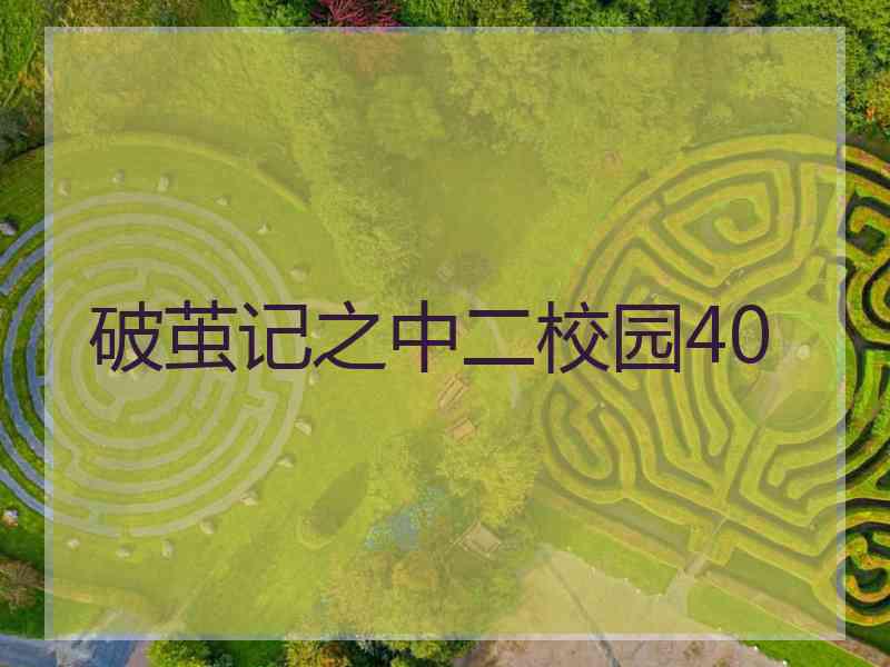 破茧记之中二校园40