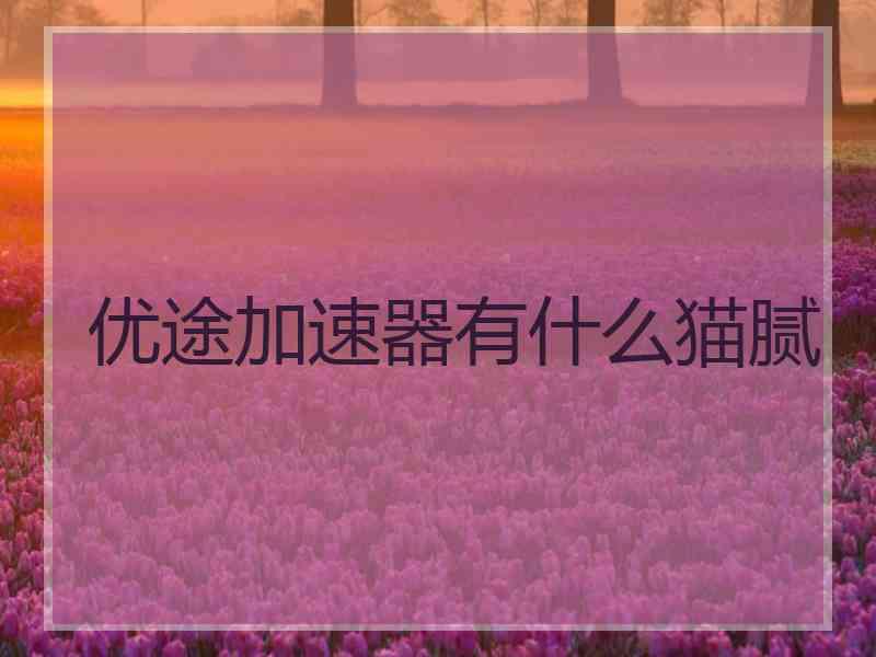 优途加速器有什么猫腻