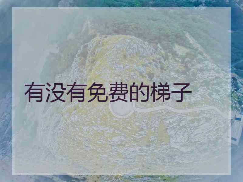 有没有免费的梯子