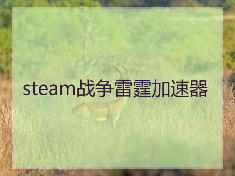 steam战争雷霆加速器