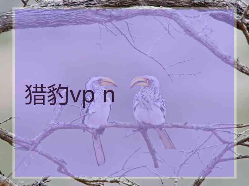 猎豹vp n