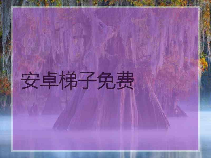 安卓梯子免费