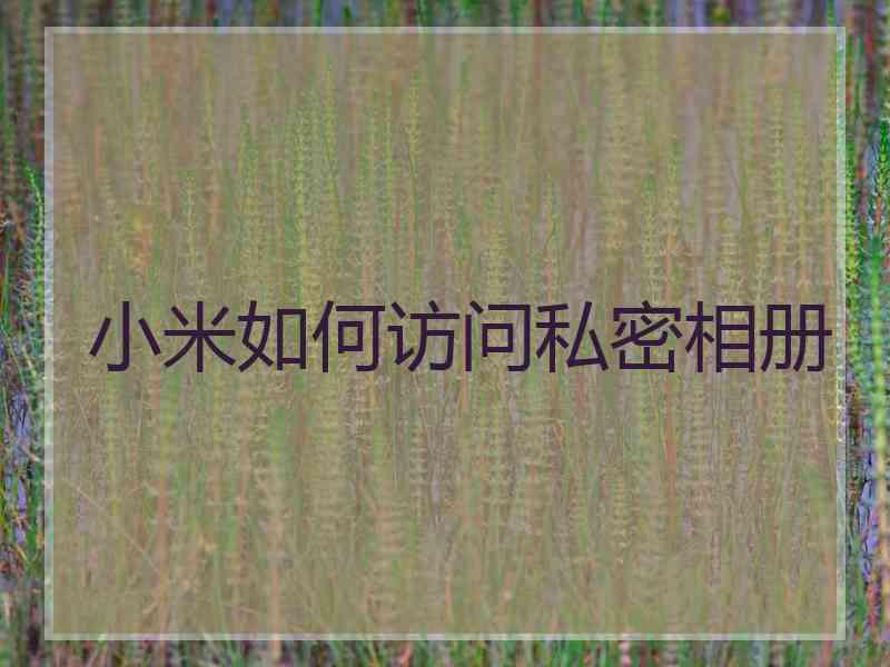 小米如何访问私密相册