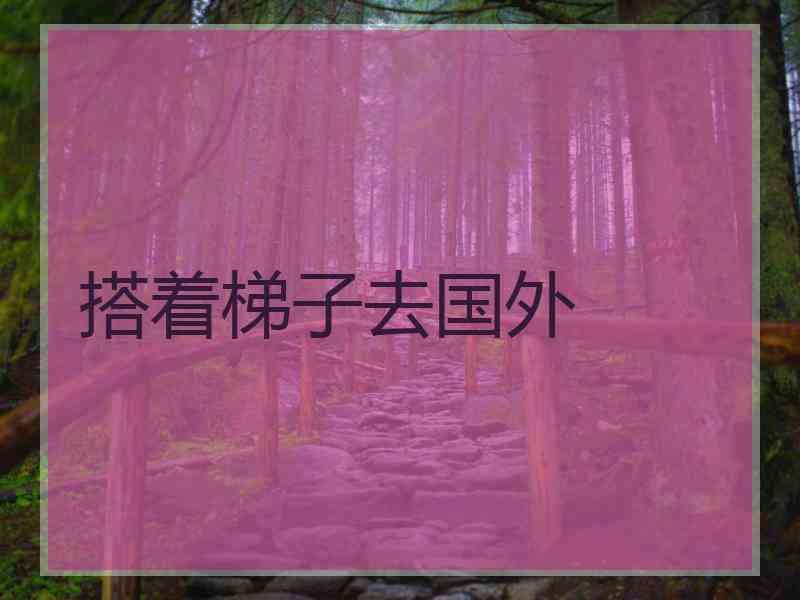 搭着梯子去国外