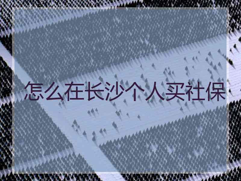 怎么在长沙个人买社保