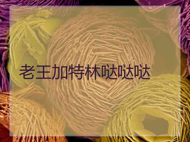 老王加特林哒哒哒