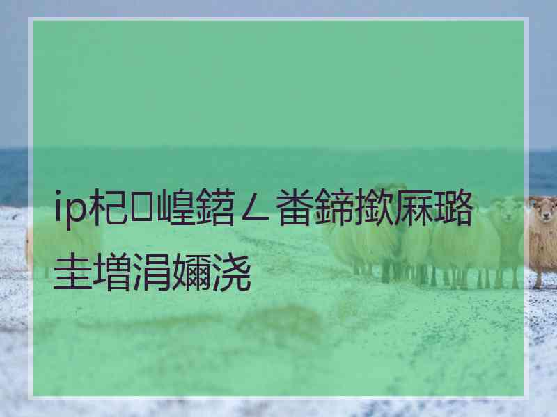 ip杞崲鍣ㄥ畨鍗撳厤璐圭増涓嬭浇