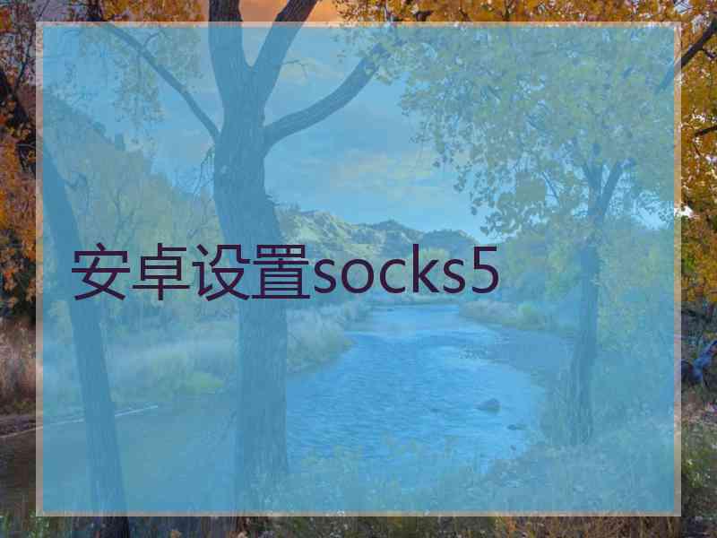 安卓设置socks5