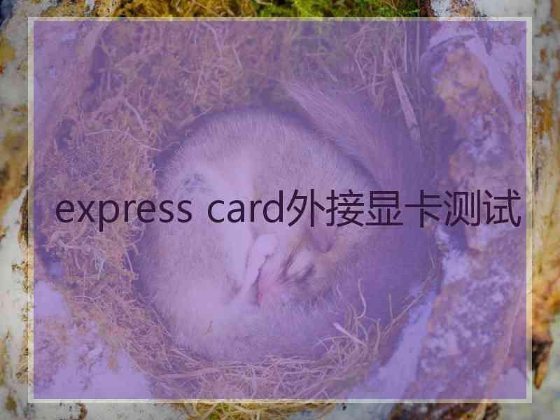 express card外接显卡测试