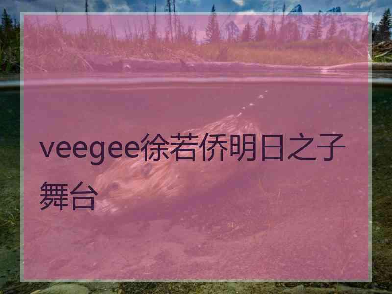 veegee徐若侨明日之子舞台
