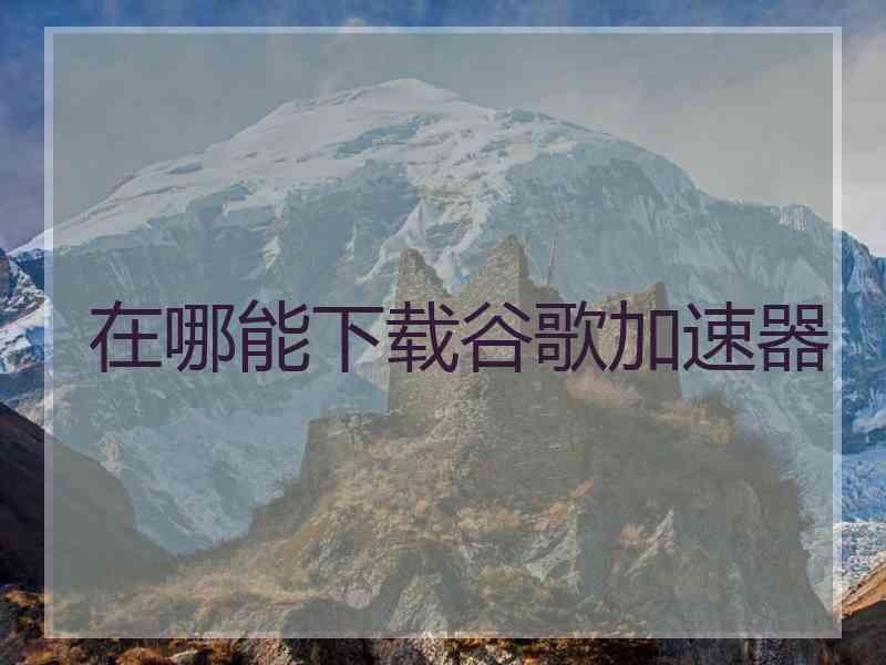 在哪能下载谷歌加速器