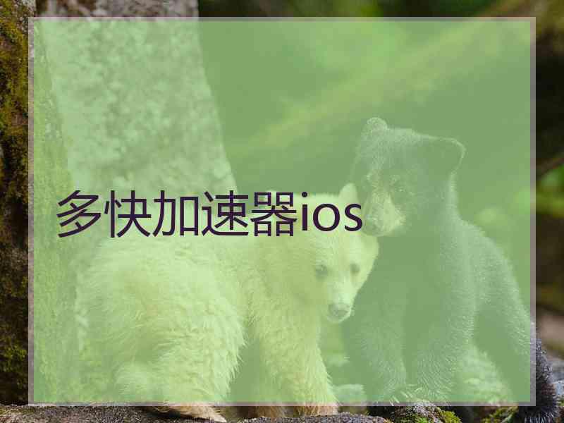 多快加速器ios