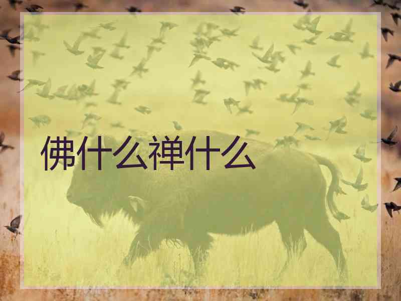 佛什么禅什么