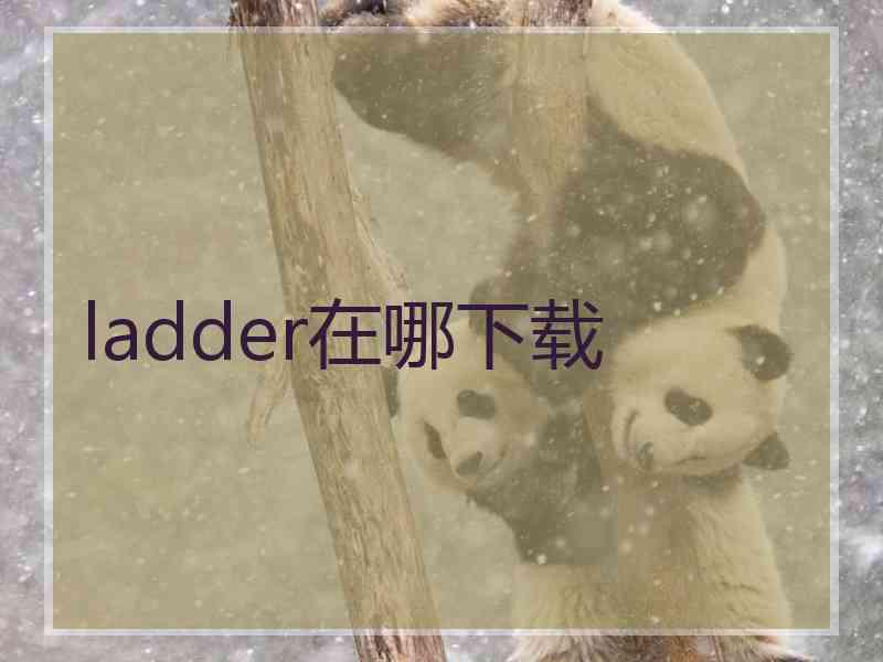 ladder在哪下载