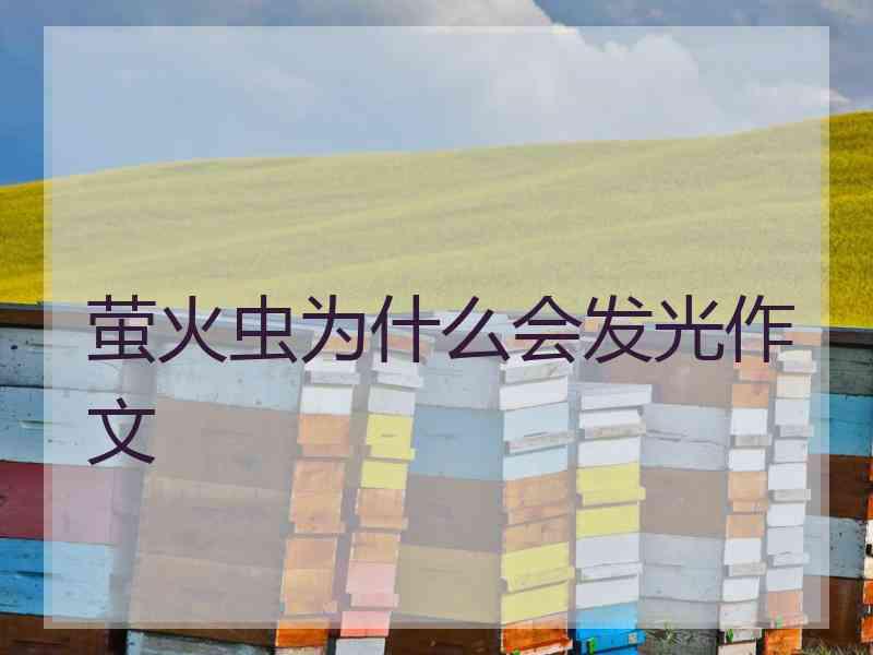 萤火虫为什么会发光作文