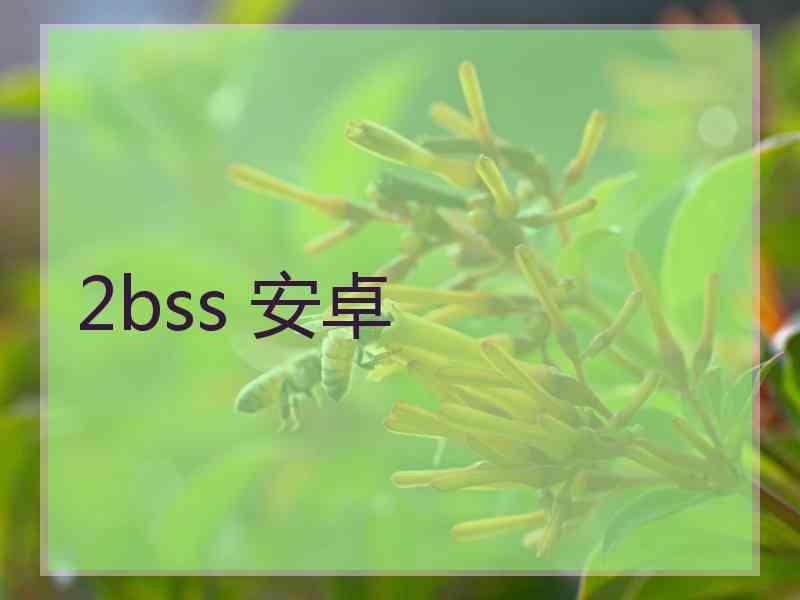 2bss 安卓