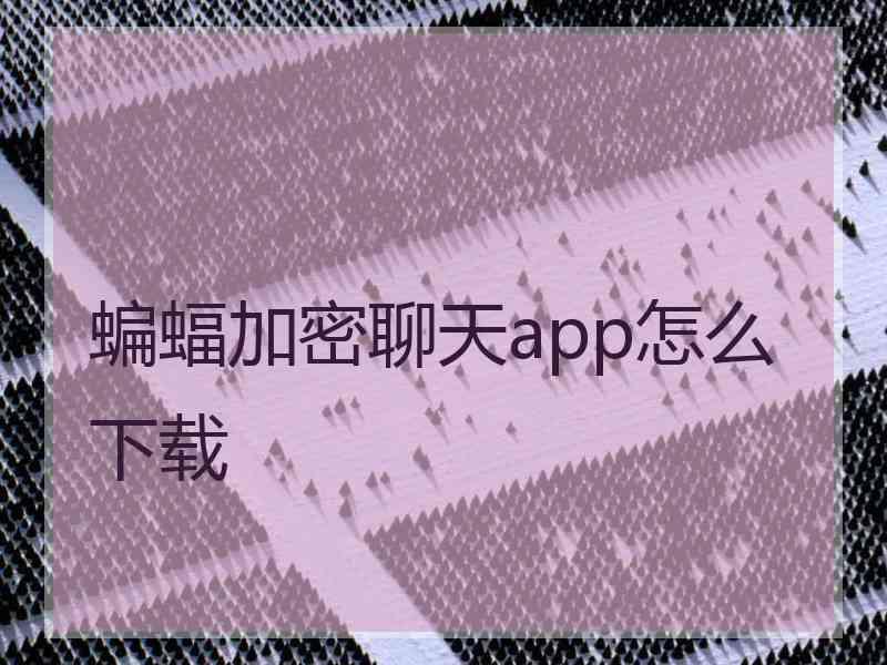 蝙蝠加密聊天app怎么下载