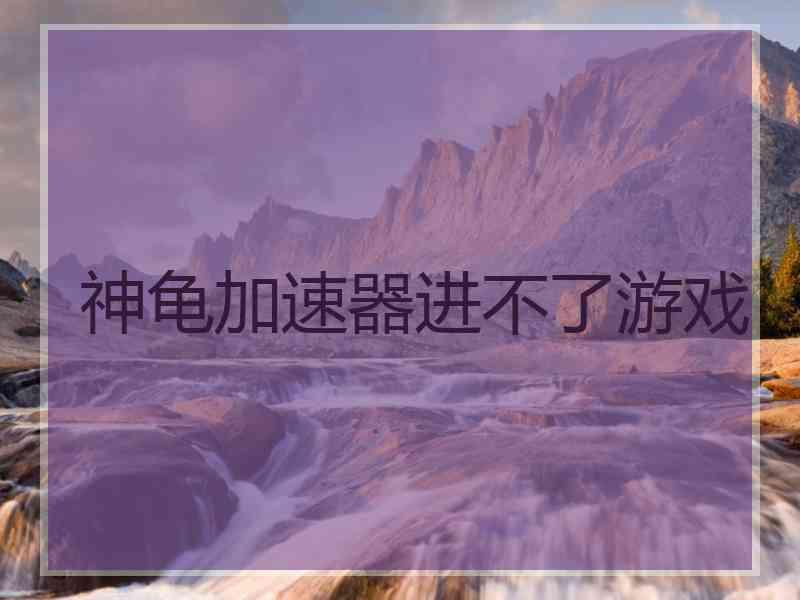 神龟加速器进不了游戏