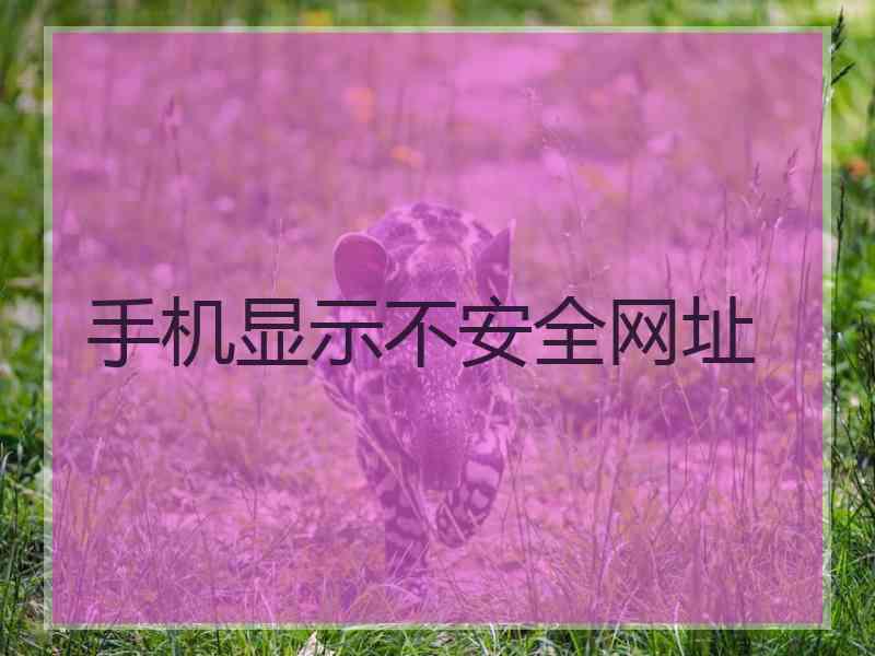 手机显示不安全网址