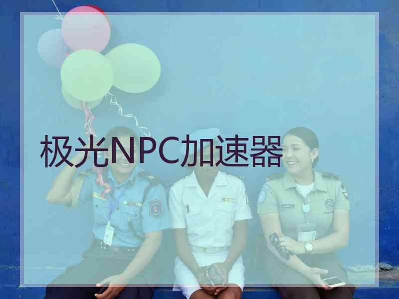 极光NPC加速器