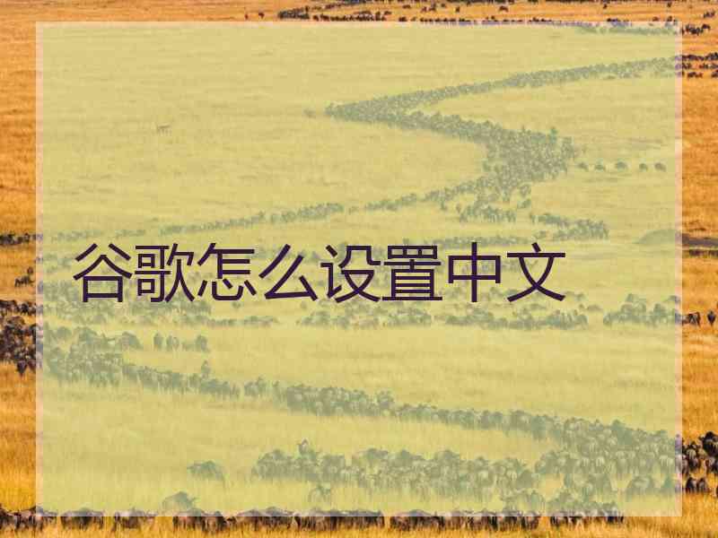 谷歌怎么设置中文