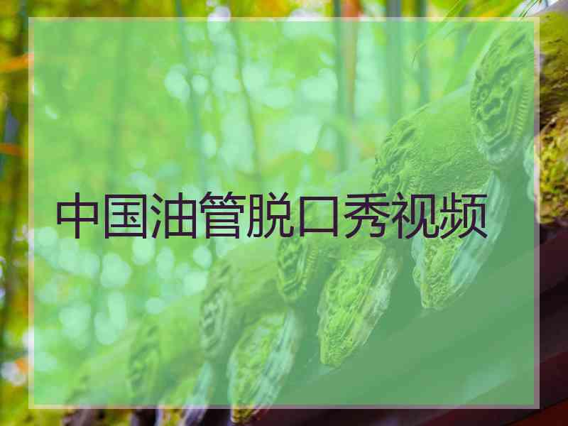 中国油管脱口秀视频