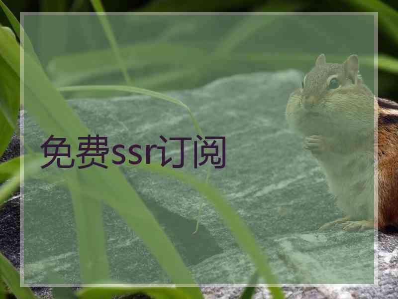 免费ssr订阅
