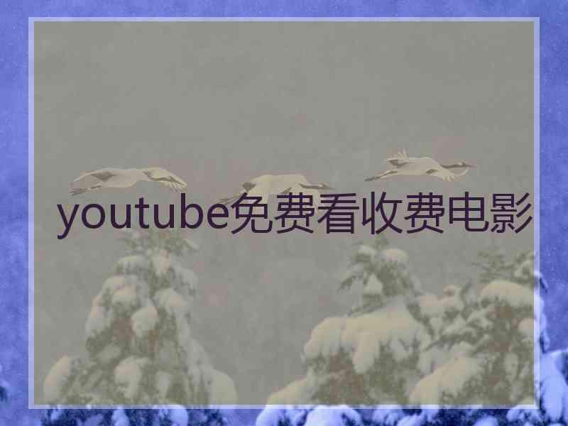 youtube免费看收费电影