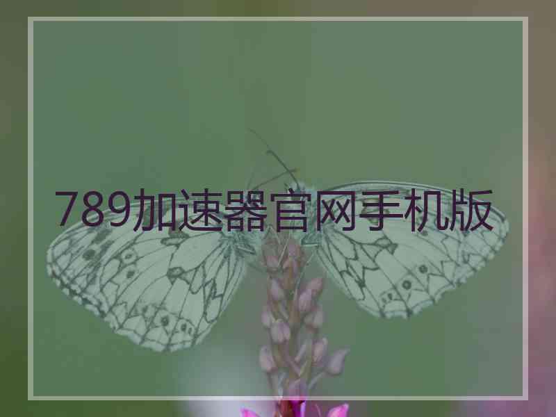 789加速器官网手机版