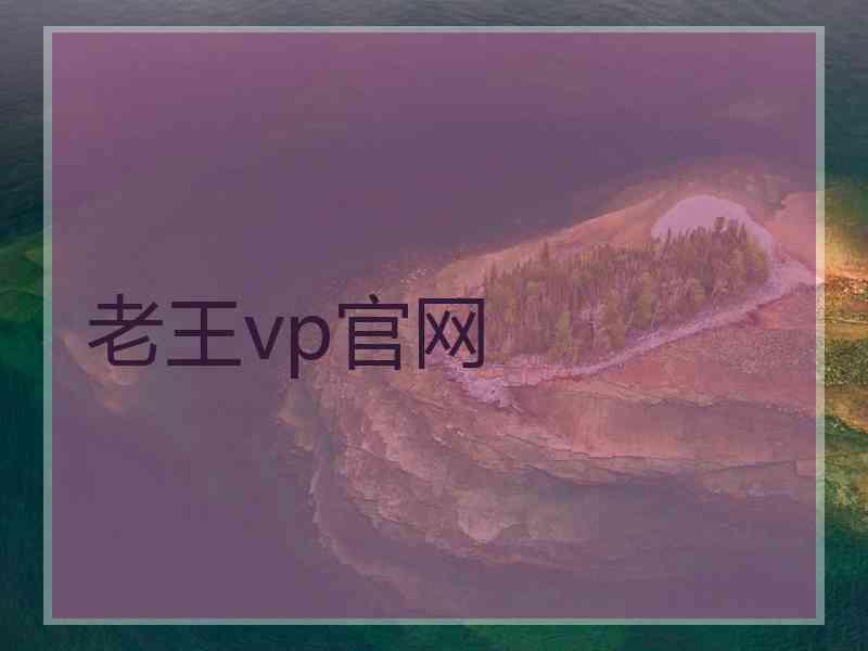 老王vp官网