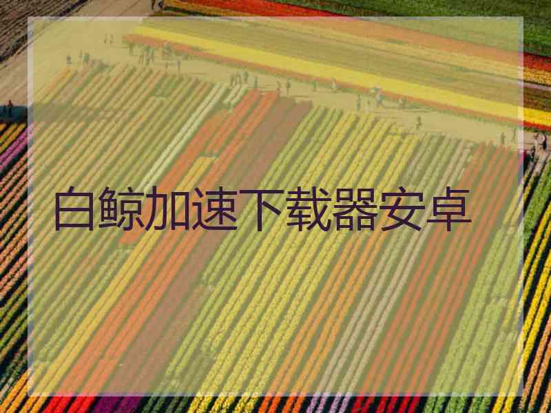 白鲸加速下载器安卓