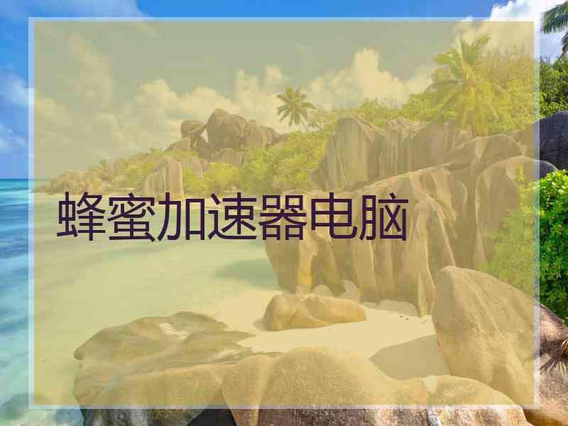 蜂蜜加速器电脑