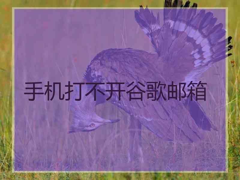 手机打不开谷歌邮箱