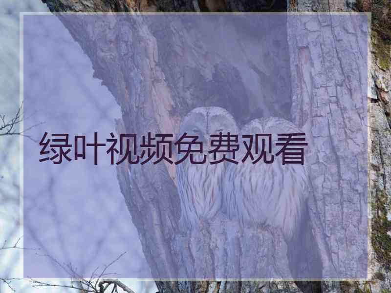绿叶视频免费观看