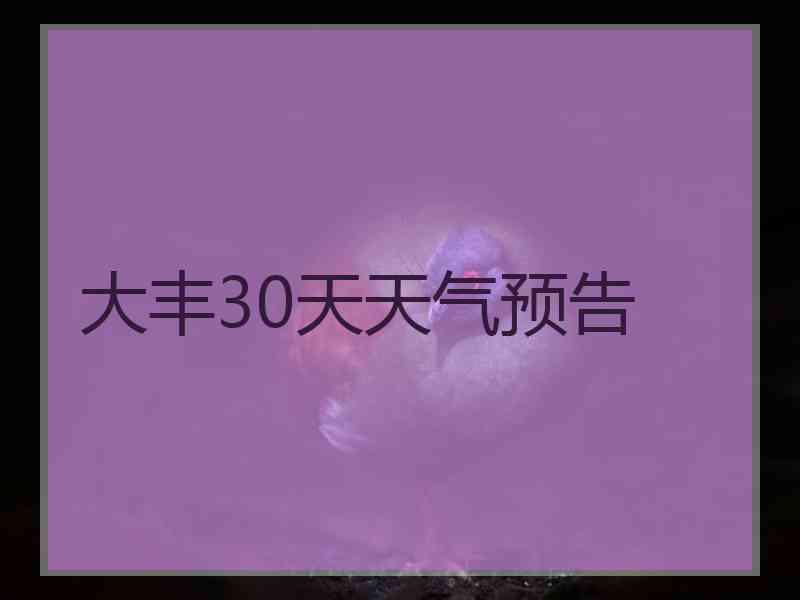 大丰30天天气预告